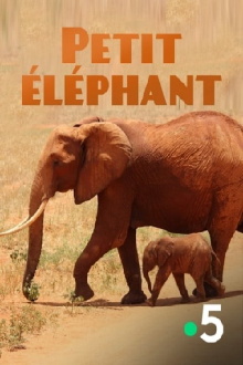Small Elephant Trailer