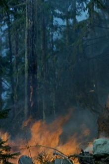 Small Smoke at Blaze Creek Trailer