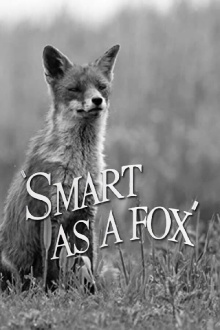 Smart as a Fox Trailer