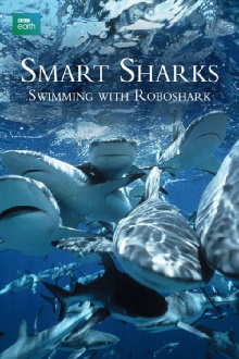 Smart Sharks: Swimming With Roboshark Trailer