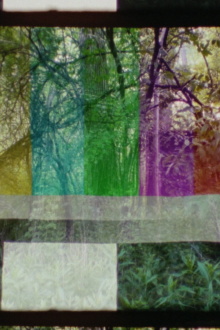 SMPTE FOREST Trailer