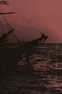 Smyrna Trailer