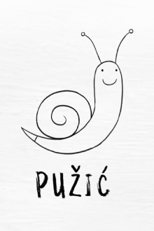 Snail the Painter Trailer