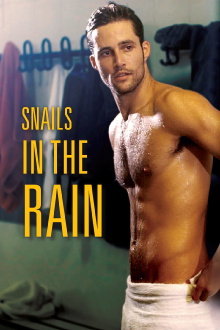 Snails in the Rain Trailer