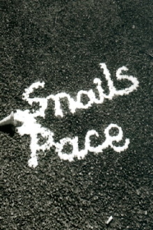 Snail's Pace Trailer