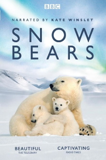 Snow Bears Trailer