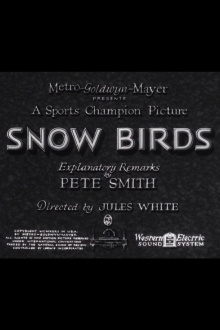 Snow Birds Trailer
