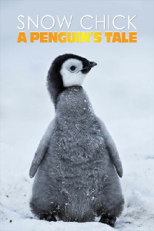 Snow Chick - A Penguin's Tale Trailer
