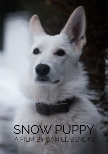 Snow Puppy Trailer