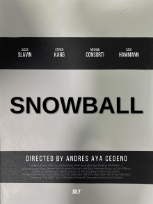 Snowball Trailer