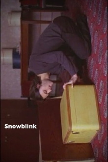 Snowblink Trailer