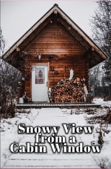 Snowy View from a Cabin Window Trailer