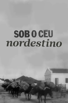 Sob o Céu Nordestino Trailer
