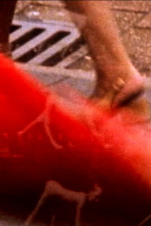 Softshoe for Bartok Trailer