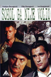 Sokol Did Not Love Him Trailer