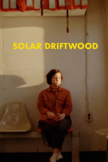 Solar Driftwood Trailer