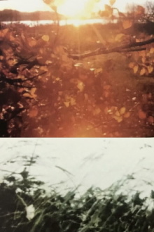 Sole Sole Sole Trailer