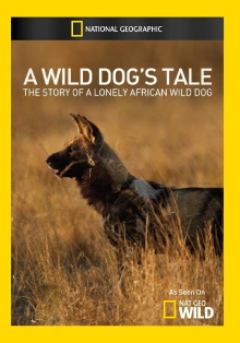 Solo: A Wild Dog's Tale Trailer