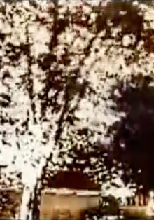 Some times... Trailer
