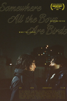 Somewhere all the boys are birds Trailer