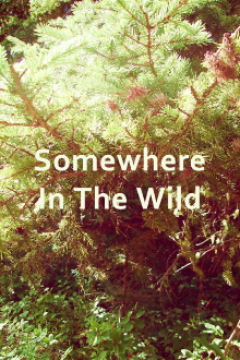 Somewhere in the Wild Trailer