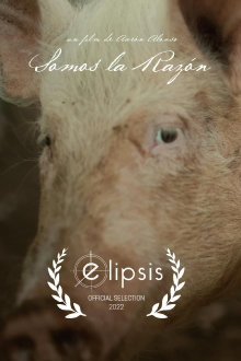 Somos la razón Trailer