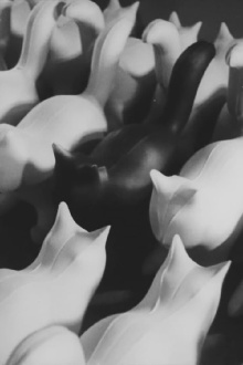 Sõnadeta lugu Trailer