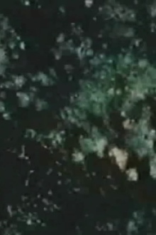 Song 14 Trailer