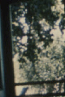 Song 19 Trailer