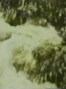 Song 3 Trailer