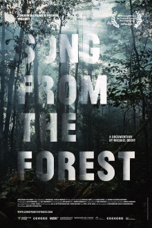 Song from the Forest Trailer