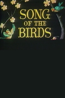 Song of the Birds Trailer