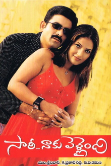 Sorry Naku Pellaindi Trailer