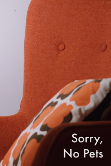 Sorry, No Pets Trailer