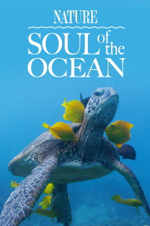Soul of the Ocean Trailer