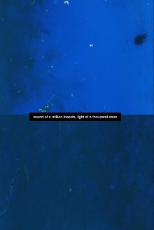 Sound of a Million Insects, Light of a Thousand Stars Trailer
