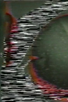 Soundgated Images Trailer