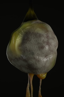 Soup Frog Trailer