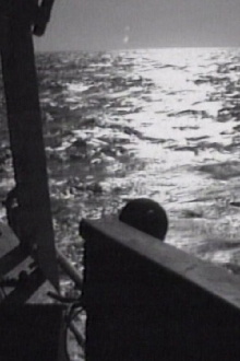 South Atlantic Trailer