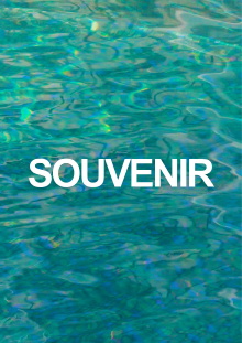 Souvenir Trailer