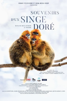 Souvenirs d'un singe doré Trailer