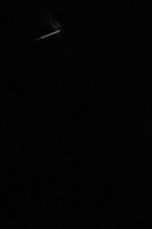 Space-ship Trailer