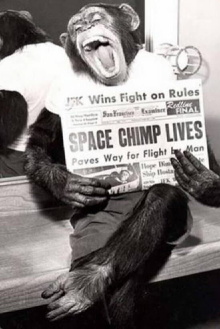 Spacechimp Trailer