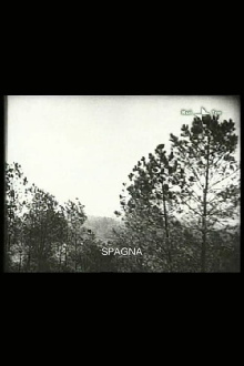 Spain Trailer
