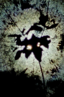 Spark from a Falling Star Trailer