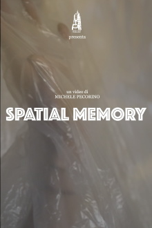 Spatial Memory Trailer