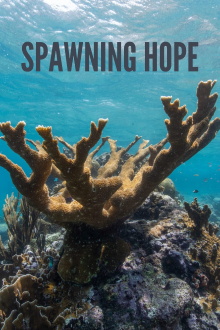 Spawning Hope Trailer