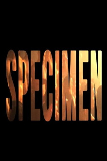 Specimen Trailer