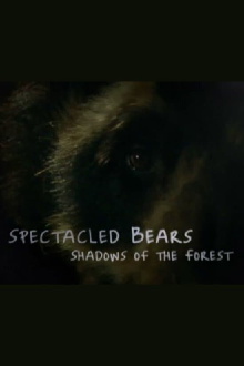 Spectacled Bears: Shadows of the Forest Trailer