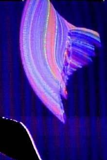 Spectral Net Trailer
